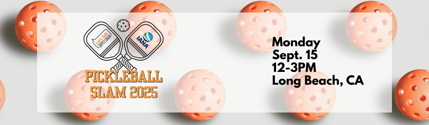 Pickleball Slam Balls-1 Pickleball Slam Balls-1